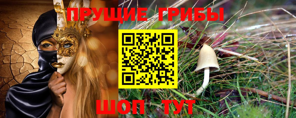 Галлюциногенные грибы Psilocybe Луга