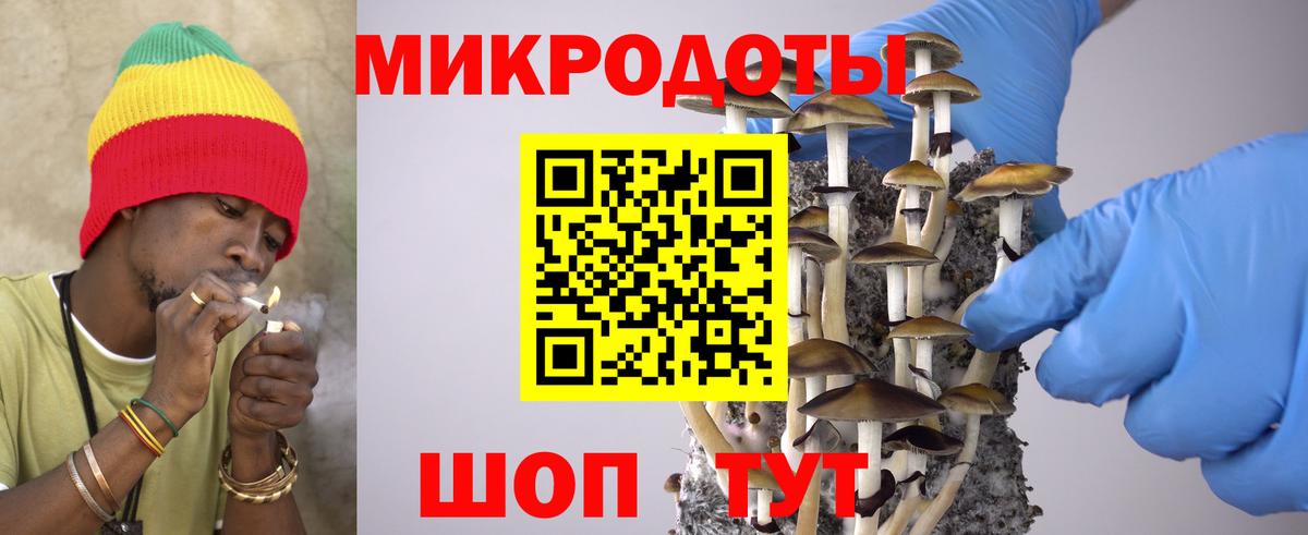 Псилоцибиновые грибы Cubensis  купить наркотики сайты  Луга  Вход с VPN 